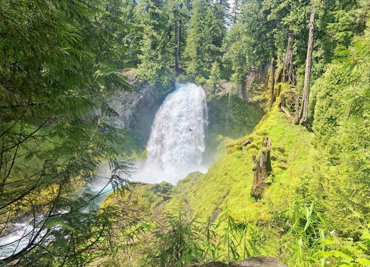 Sahalie and Koosah Falls Oregon Waterfalls