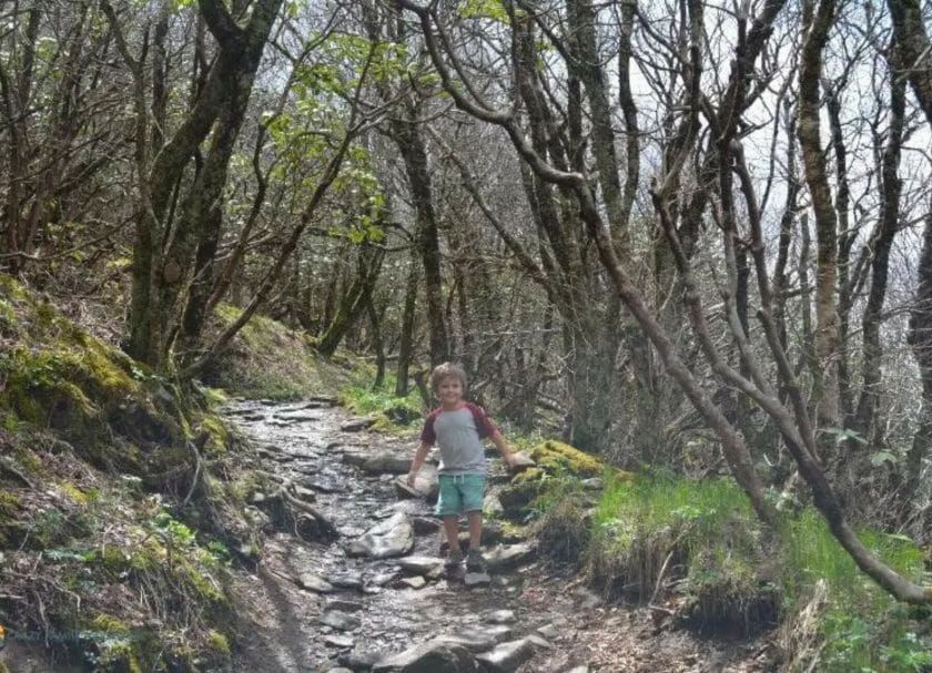 Craggy Gardens, Kid Friendly Hikes Near Asheville