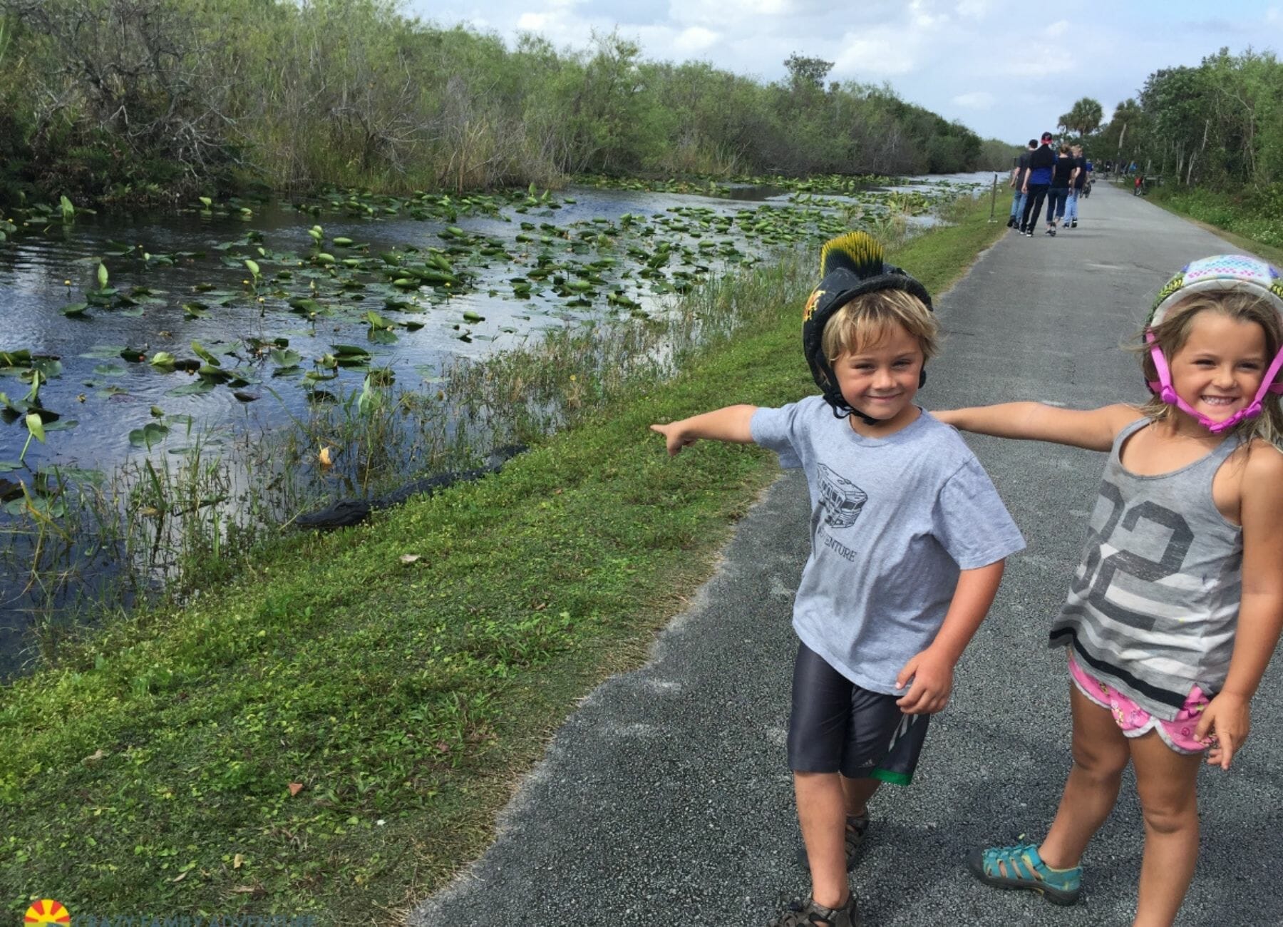 Shark Valley Everglades East Coast National Parks