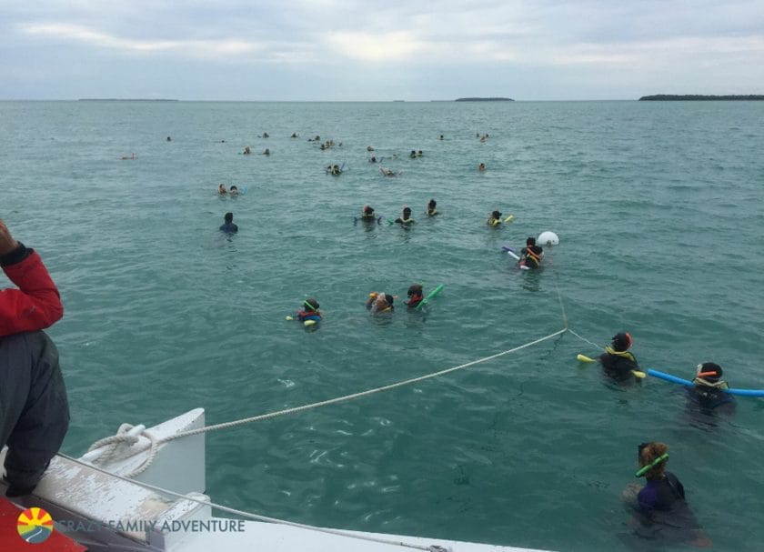 Key West With Kids - Fury Snorkleing