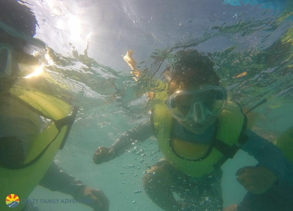 Key West With Kids - Sebago snorkel