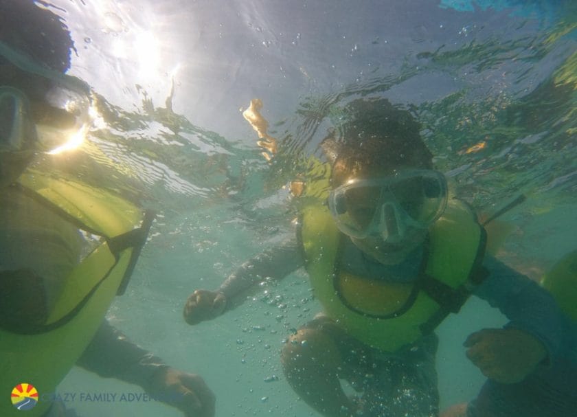Key West With Kids - Sebago snorkel