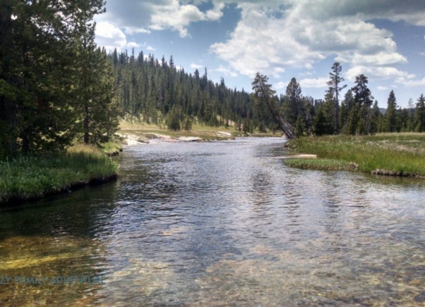 Yellowstone Montana National Parks