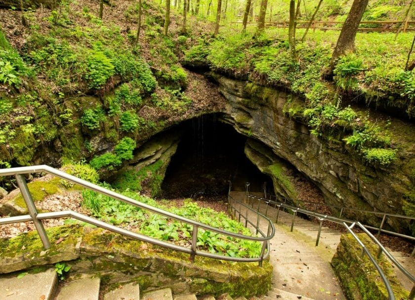 Mammoth Cave Things To Do In Bowling Green KY