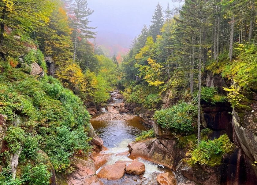 White Mountain National Forest in things to do in Lincoln New Hampshire
