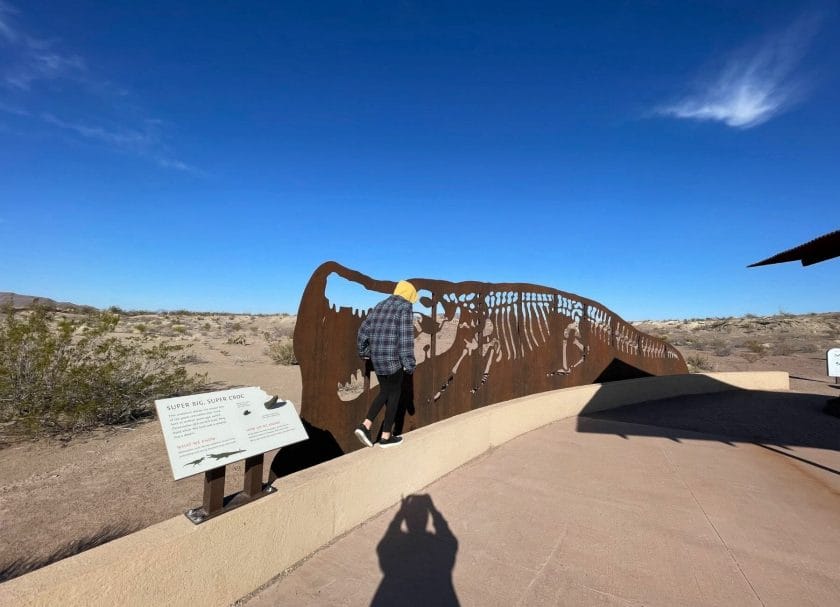 fossil exhibit things to do in big bend national park