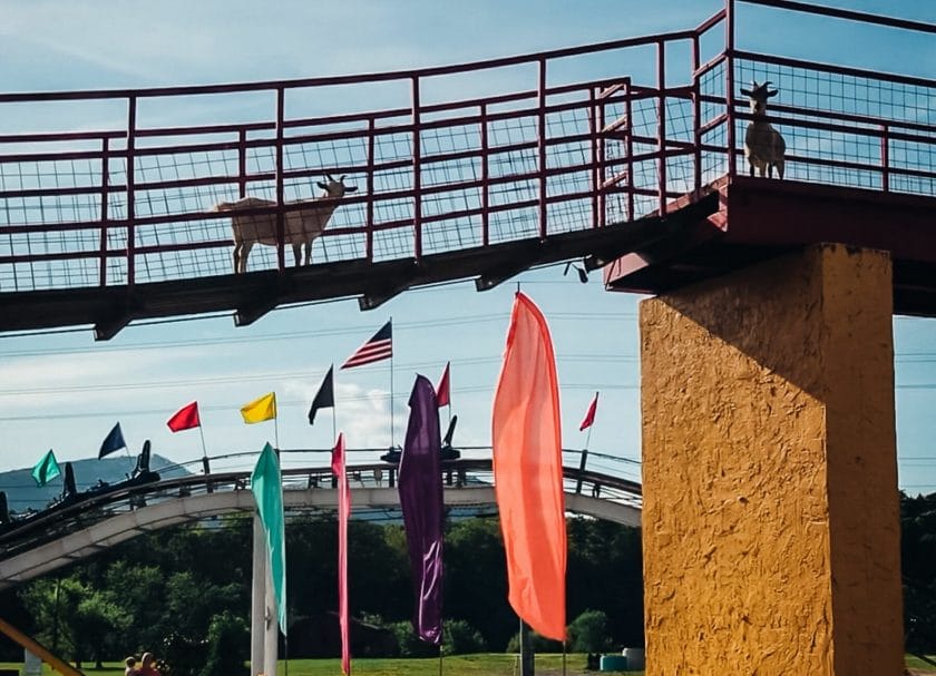 Goats on the Roof Amusement Parks In Tennessee