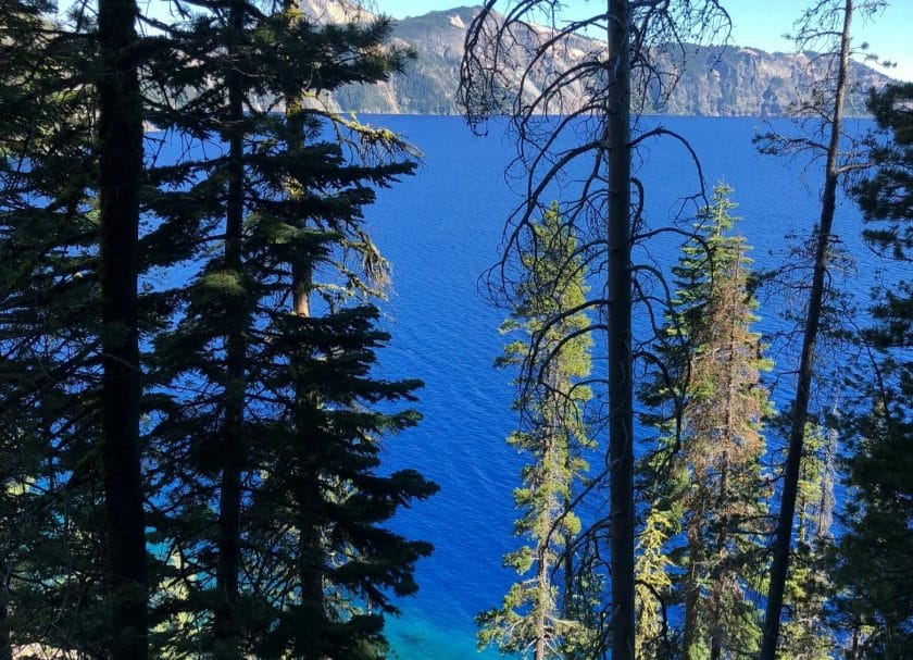 Trees Things To Do In Crater Lake
