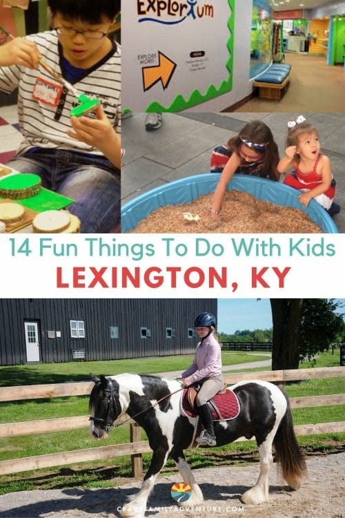 Known as the Horse Capital of the World, the bluegrass state is booming with things to do in Lexington KY with kids!