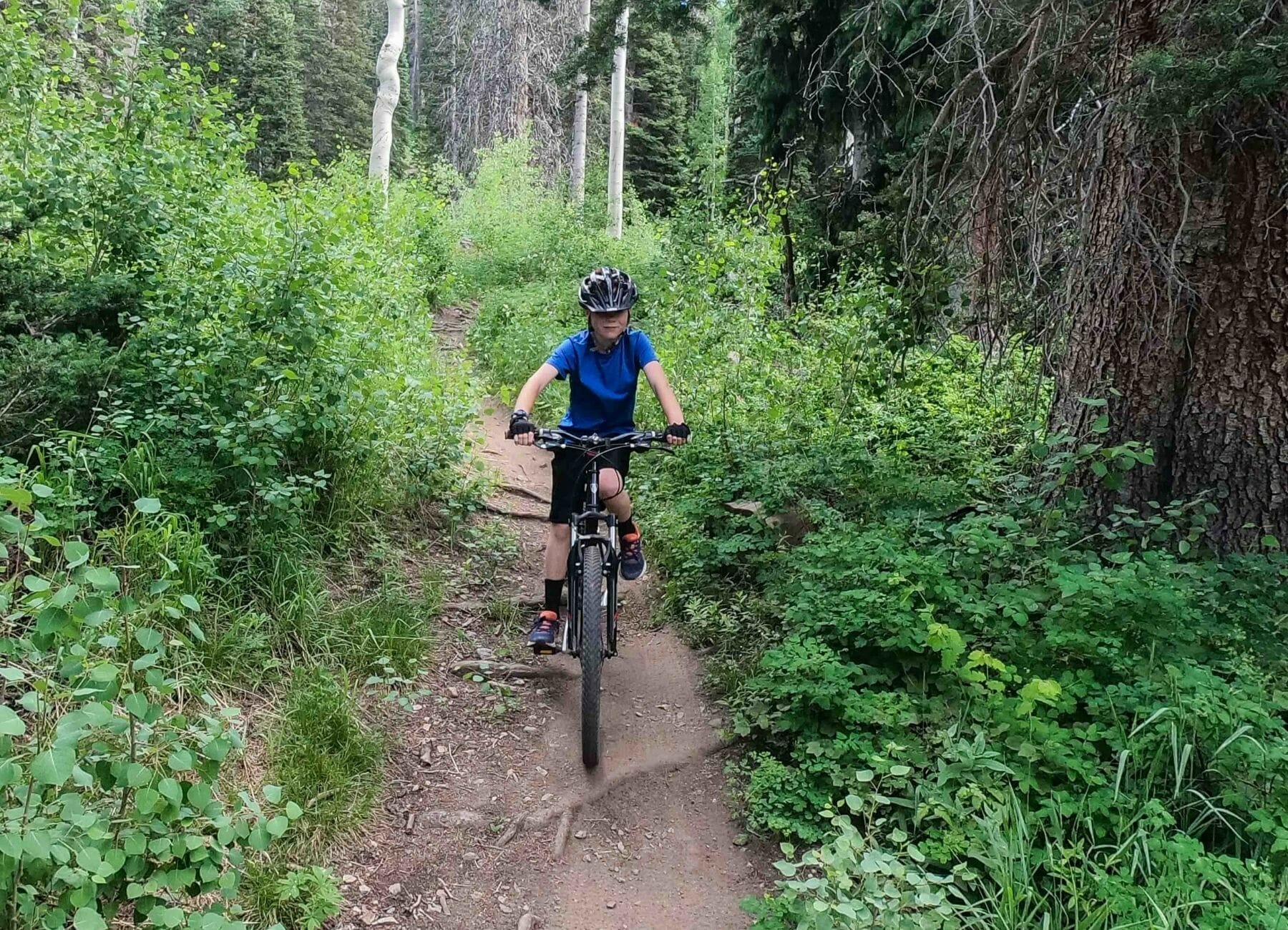 Riding down the trail at Snowbird Biking Utah Mountain Biking