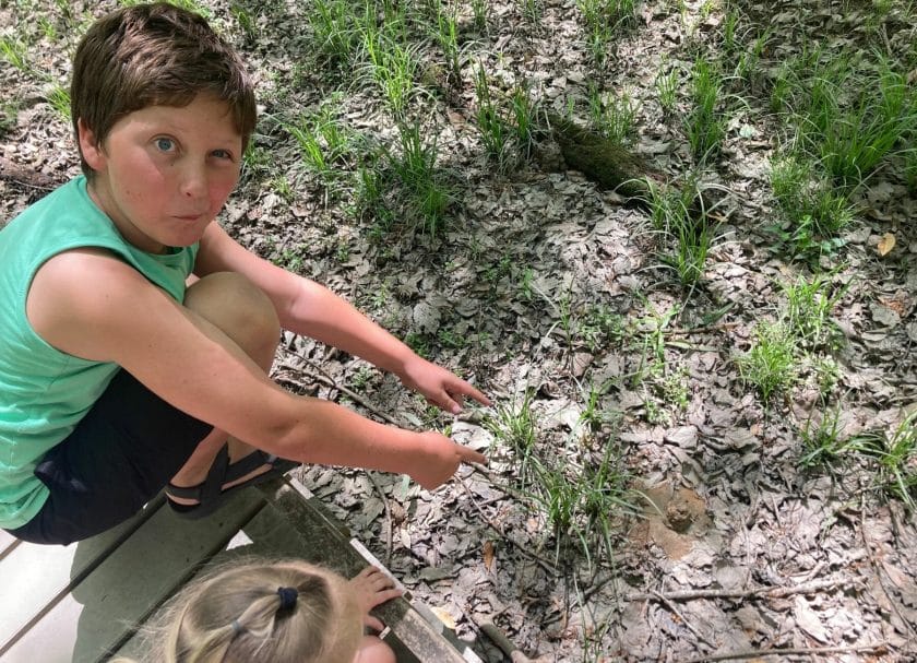 Kids on the Boardwalk Loop Trail, Things to do Congaree National Park