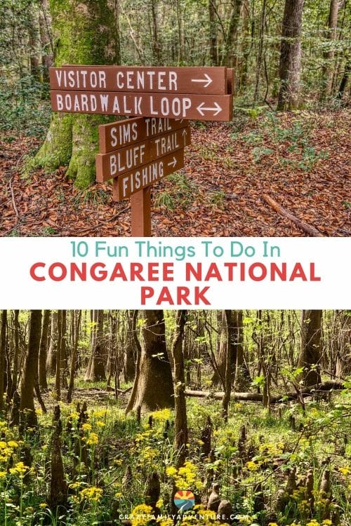 Congaree National Park is home to the oldest and largest bottomland hardwood forest. Check out our top 10 activities to do when visiting