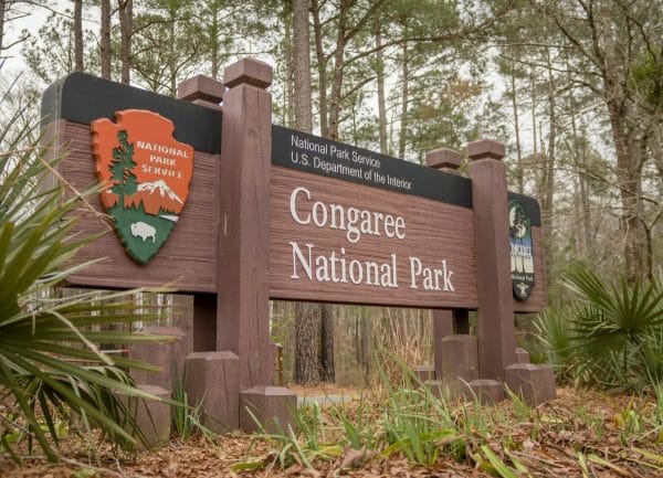 Top 10 Fun Things To Do In Congaree National Park