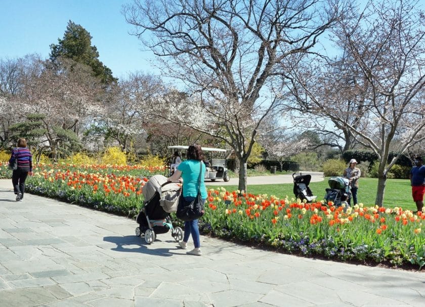 Dallas Arboretum