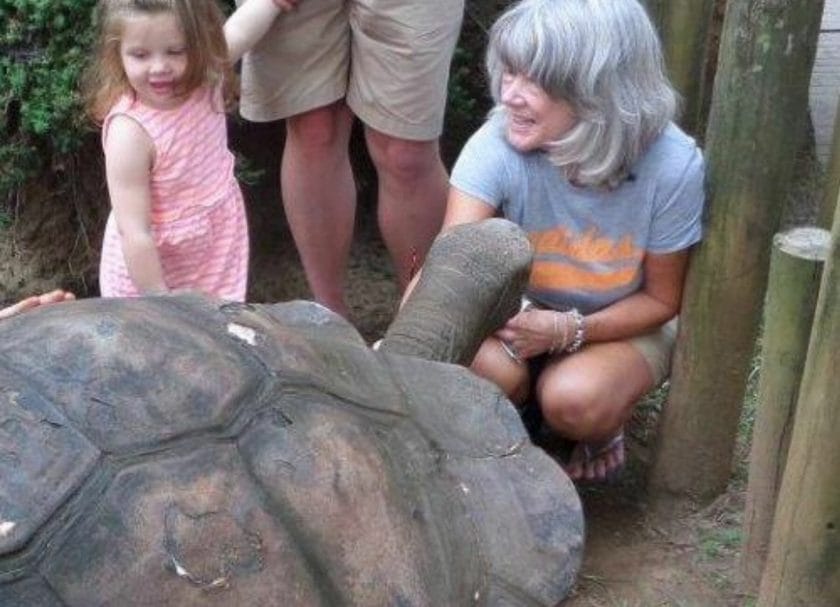 Knoxville Zoo Turtle