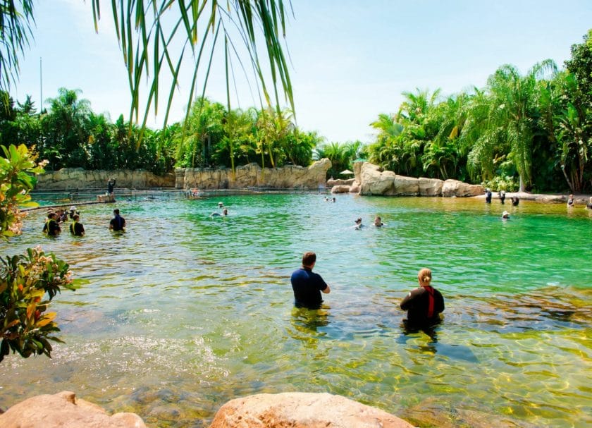 Discovery Cove, Things to do in Orlando