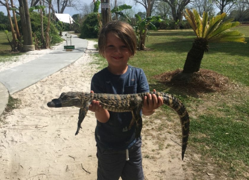 Knox holding a baby gator, things to do in gulf shores