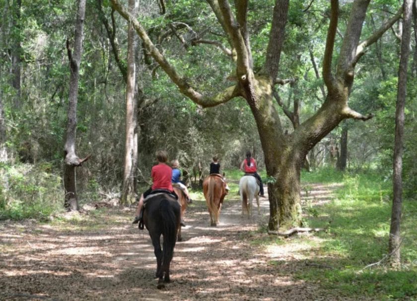 horseback riding at Oak Hollow Farms