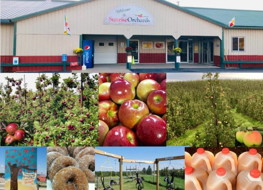 Sunrise Orchards apple picking Wisconsin