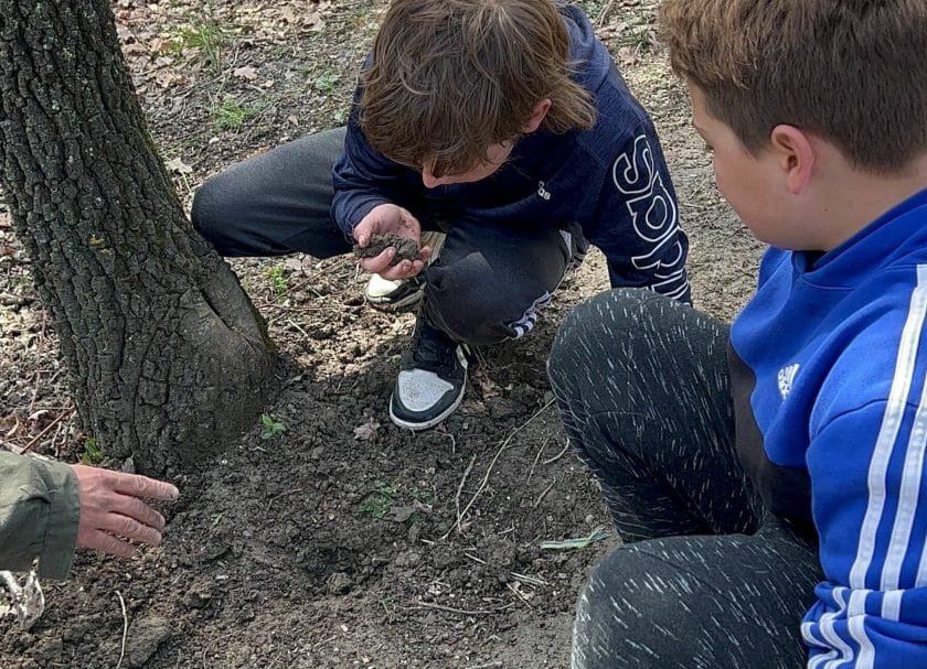 Truffle hunting