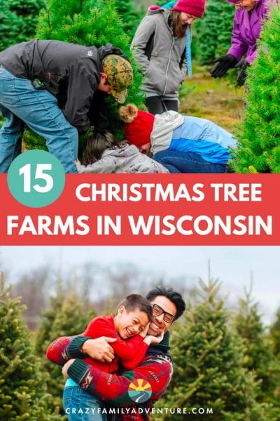 Looking for a choose and cut Christmas tree farm in Wisconsin? Choose from this list of tree farm options to add joy to your holiday season.