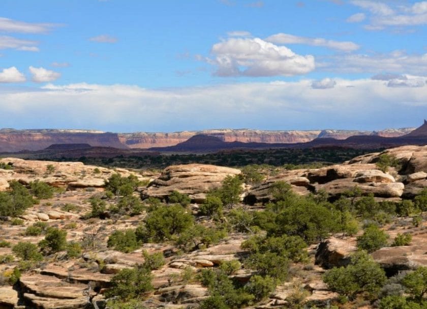 Slickrock- the best hikes in Canyonland National Park