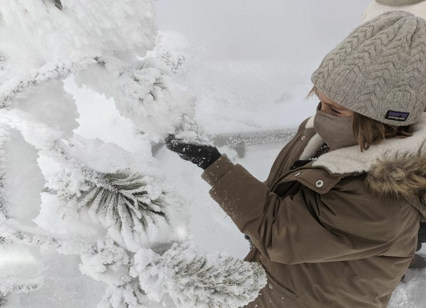 A little girl looking at the ice on the trees, Yellowstone in Winter