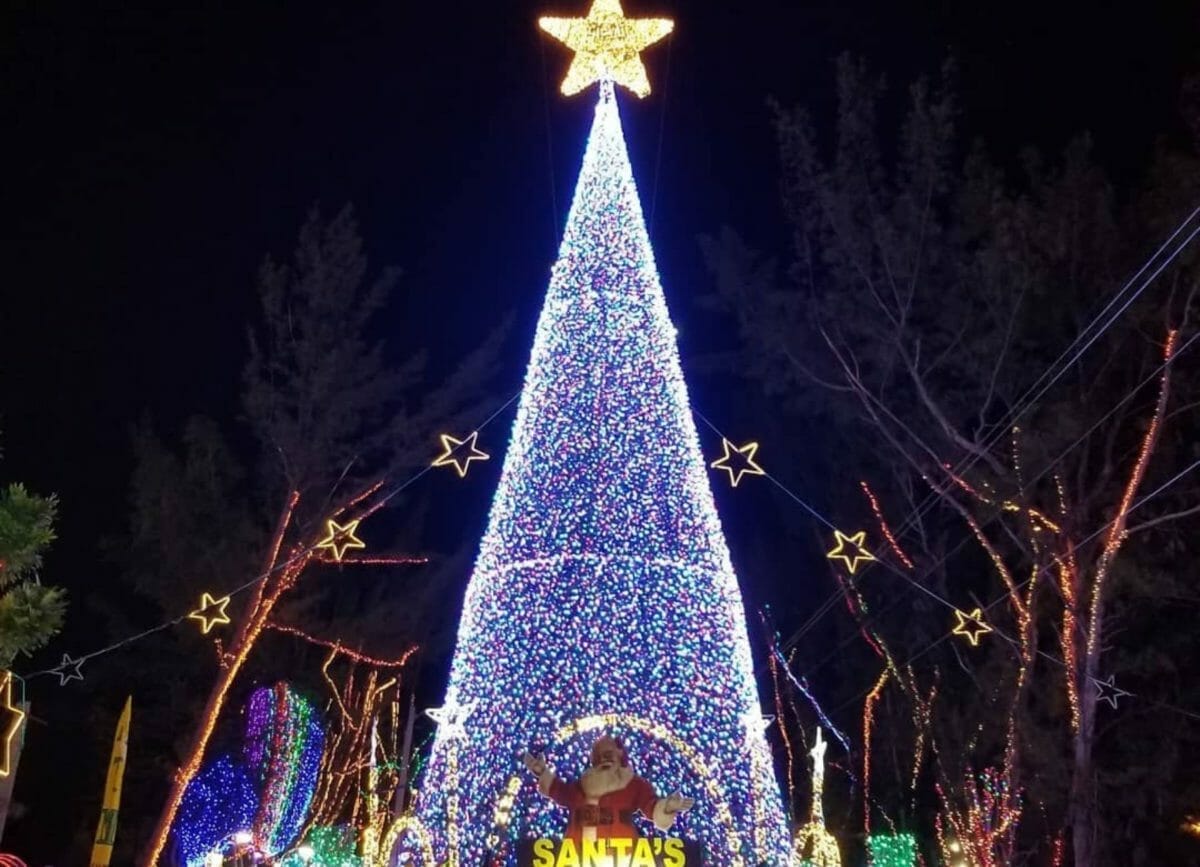 Shows a large lit Christmas Tree at Santa's Enchanted Village