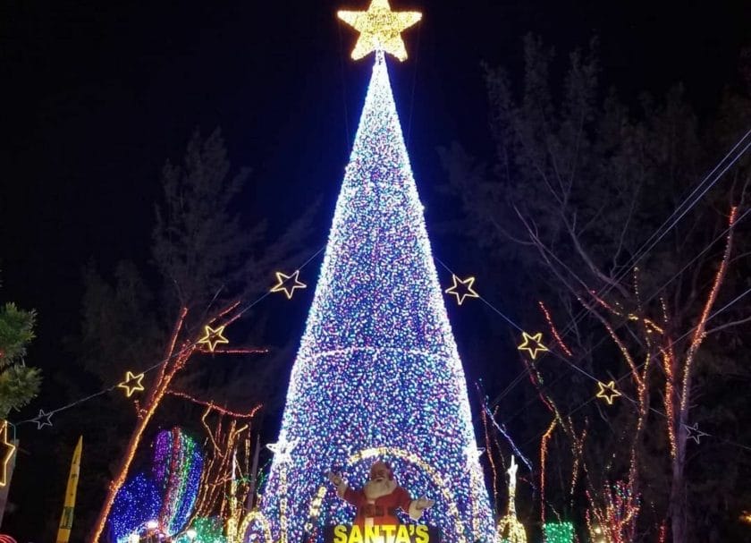 Shows a large lit Christmas Tree at Santa's Enchanted Village