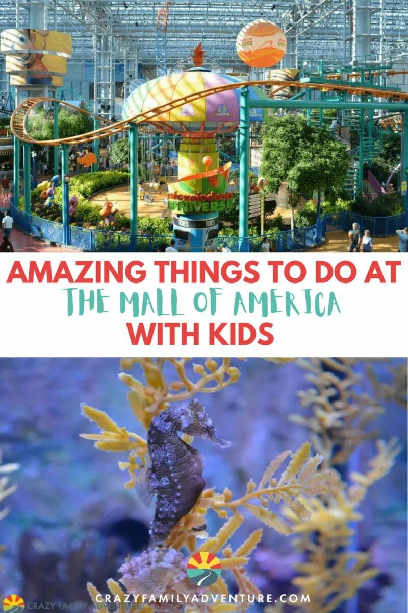 The Mall of America is a great family destination! There are so many cool things to do with kids and most of them don't include shopping!