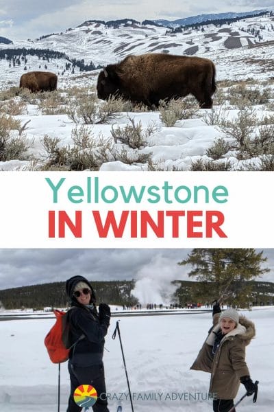 If you are looking for a wonderful family friendly winter vacation idea, check out top tips for visiting Yellowstone in Winter.  