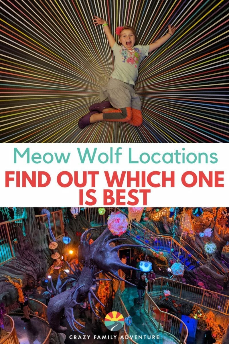 Meow Wolf is a unique and amazing art installation. With this Meow Wolf review find out which location is best for your family experience!