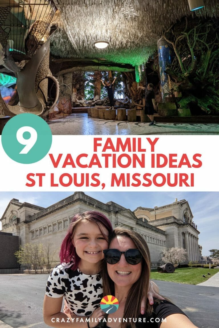 Top 9 St Louis Family Vacation Ideas