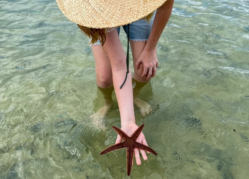 A woman holding a starfish at Hobe Sound, Things to do in Jupiter Florida