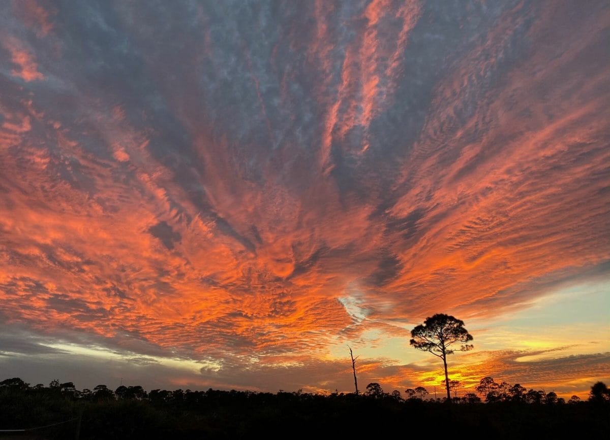 Shows a sunset at Jonathan Dickinson state park, Things to do in Jupiter, Florida