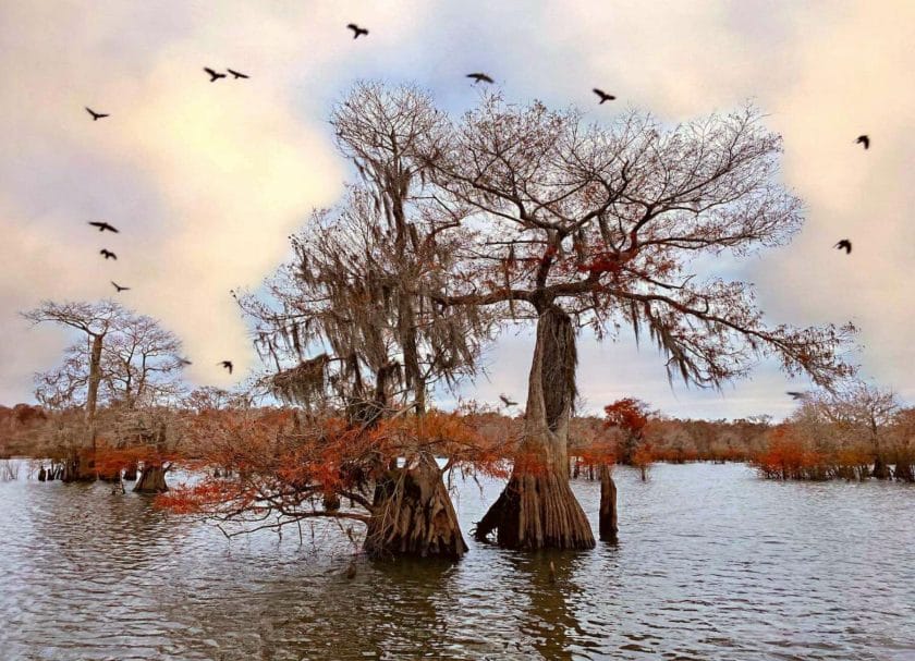 Dead Lakes, Things to do in Port St Joe Florida