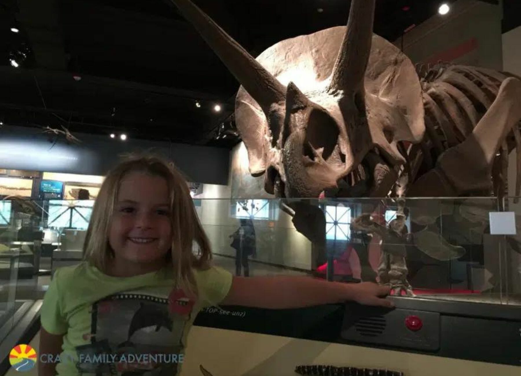 Field Museum of Natural History, Things to do in Chicago