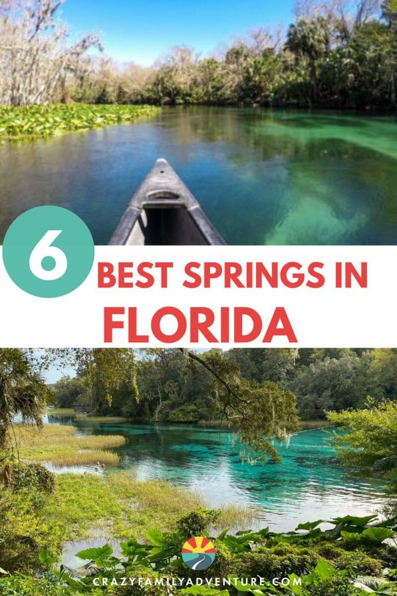 Looking for the best springs in Florida? We have you covered! Learn why Florida's springs offer the perfect outdoor adventure for families!