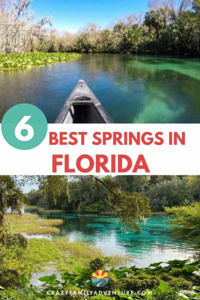 Looking for the best springs in Florida? We have you covered! Learn why Florida's springs offer the perfect outdoor adventure for families!