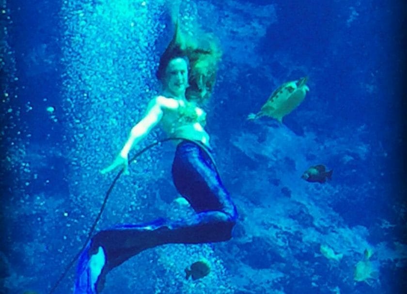 Live Mermaid Show At Weeki Wachee Springs