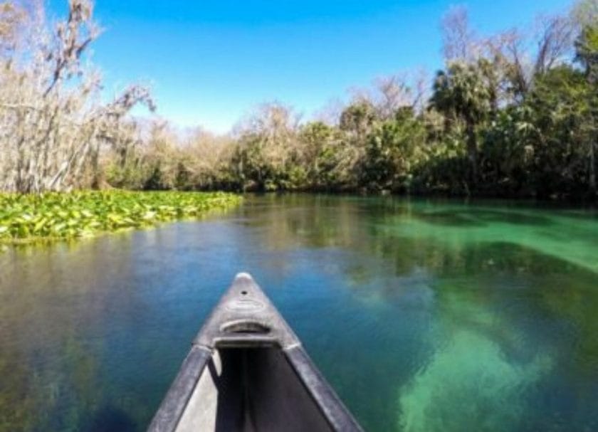 View from a boat, Best Springs in Florida