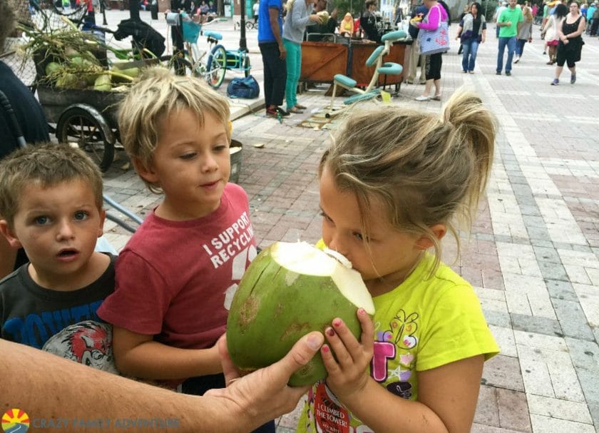 Kids drinking from a large green coconut in Mallory Square, things to do in Key West