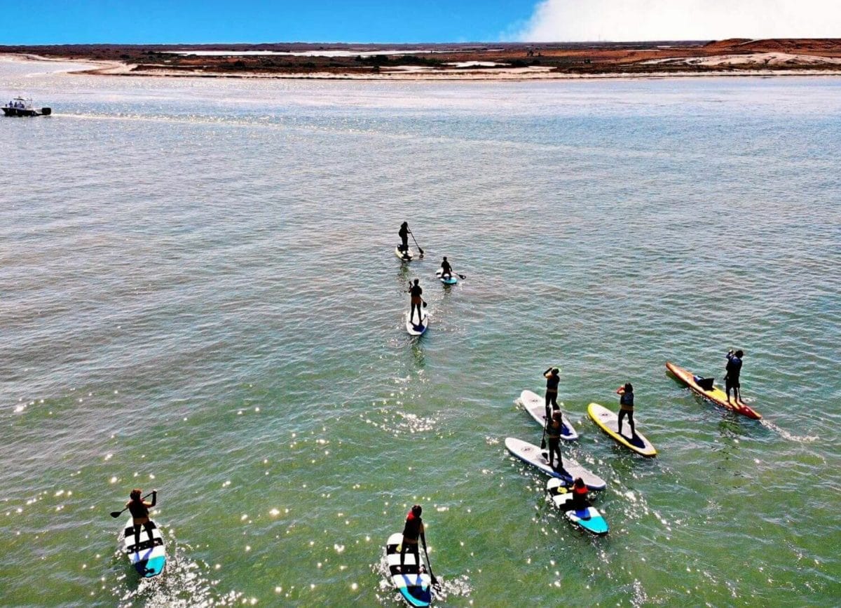 Paddleboarding, things to do in South Padre Island
