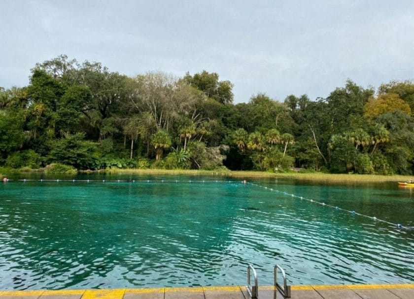 Swim Area At Rainbow Springs State Park, best springs in Florida