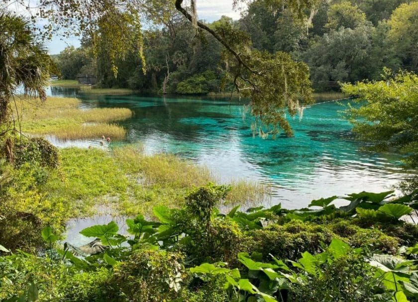 Rainbow Springs State Park, Best Springs in Florida