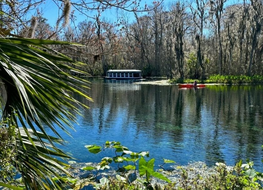 Glass Bottom Boat And Canoe at Silver Springs, best spring in Florida