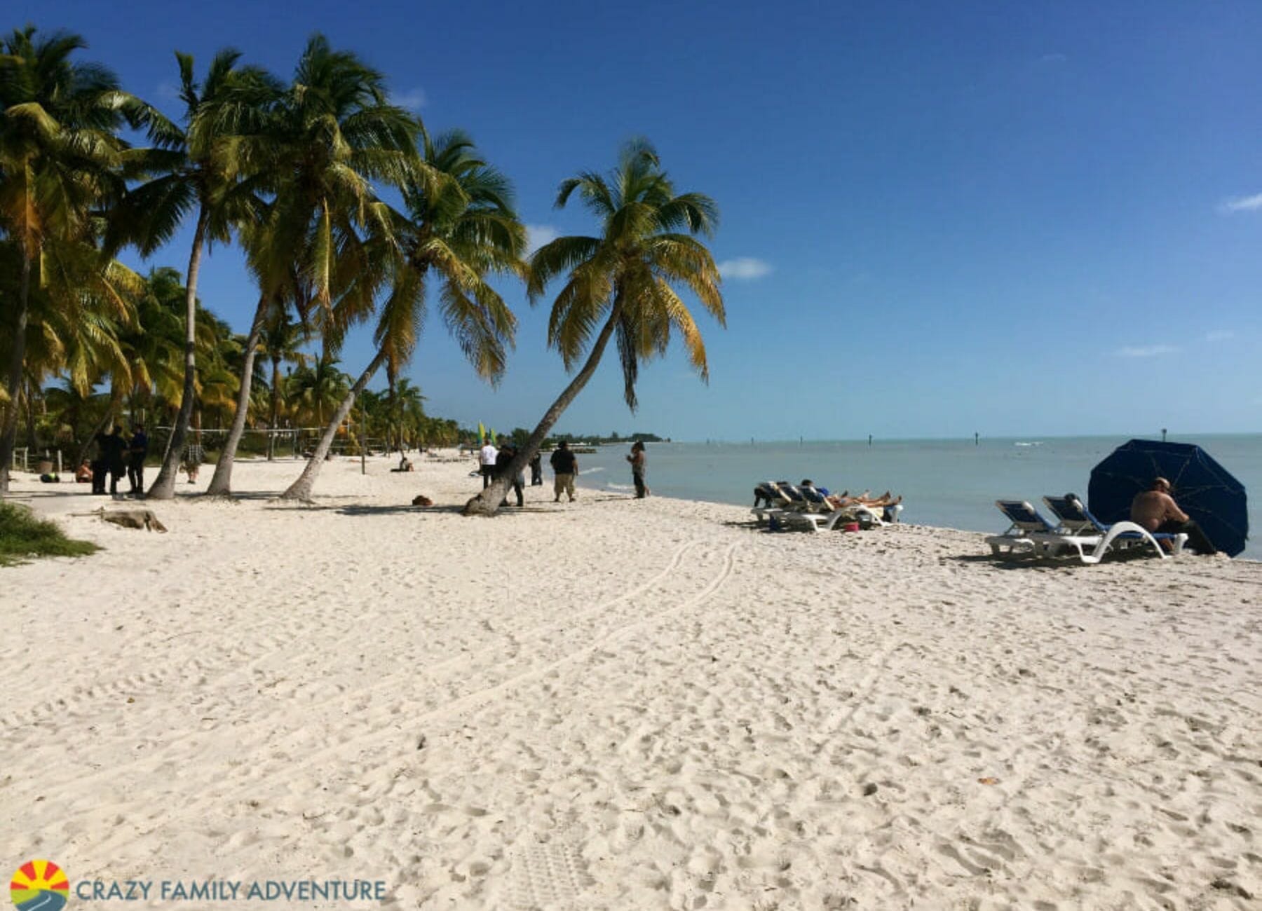 White Sand and Palm Trees at Smather's Beach