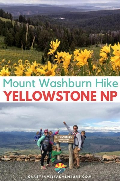 Can you do the Mount Washburn hike with kids?! Yes you can! We did and had an amazing time and loved the animals we saw and the views!