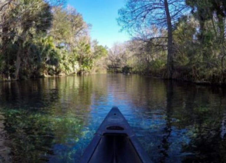 Shows a boat on a river, Where to see manatees in Florida