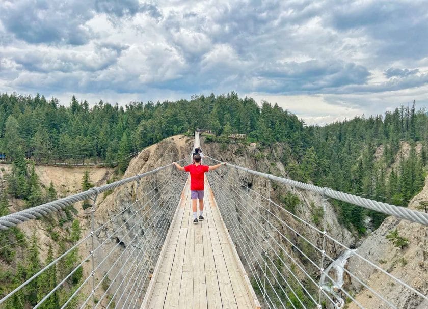 Suspension Bridge - Skybridge